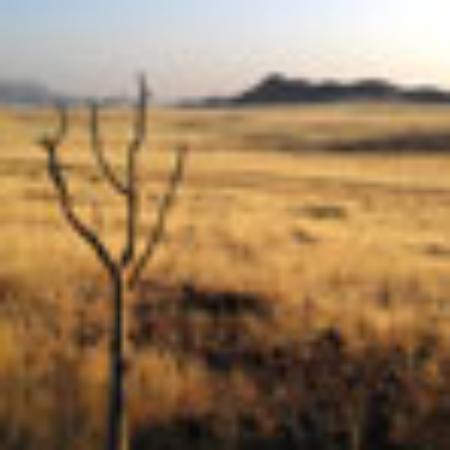 Brijwasi Hotel Restaurant